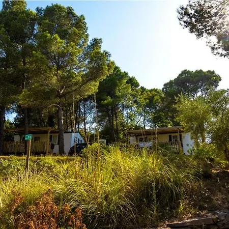 Mobil-home Avec Terrasse A Lezignan-corbieres, 6 Personnes - Api-1-52-736 Lézignan-Corbières