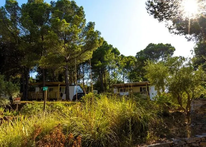 Mobil-home Avec Terrasse A Lezignan-corbieres, 6 Personnes - Api-1-52-736 Lézignan-Corbières